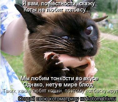 Я вам, по честности, скажу Коты не любят колбасу... Мы любим тонкости во вкусе Однако, нету в мире бл... Котоматрица: Я вам, по честности, скажу Коты не любят колбасу... Мы любим тонкости во вкусе Однако, нету в мире блюд Таких, какие любят кошки, поэтому колба