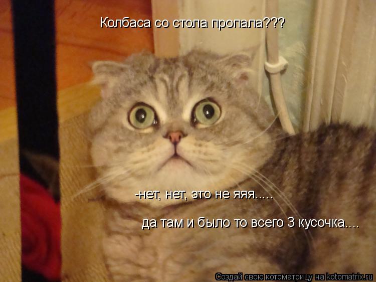 Колбаса со стола пропала??? -нет, нет, это не яяя..... да там и было то всего 3 кусочка....... Котоматрица: Колбаса со стола пропала??? -нет, нет, это не яяя..... да там и было то всего 3 кусочка....