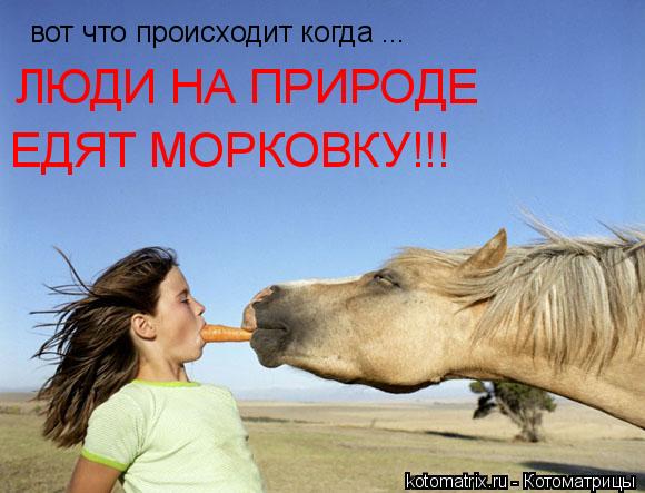 вот что происходит когда ... ЛЮДИ НА ПРИРОДЕ ЕДЯТ МОРКОВКУ!!!... Котоматрица: вот что происходит когда ... ЛЮДИ НА ПРИРОДЕ ЕДЯТ МОРКОВКУ!!!