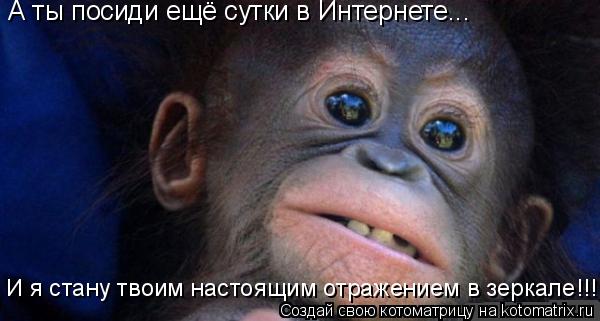 А ты посиди ещё сутки в Интернете... И я стану твоим настоящим отражением в зеркале!!!... Котоматрица: А ты посиди ещё сутки в Интернете... И я стану твоим настоящим отражением в зеркале!!!