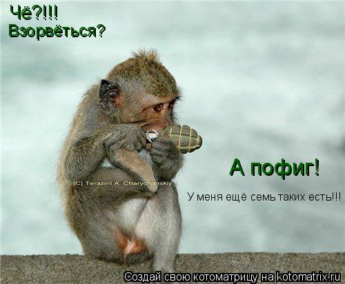 Чё?!!! Взорвёться? А пофиг! У меня ещё семь таких есть!!!... Котоматрица: Чё?!!! Взорвёться? А пофиг! У меня ещё семь таких есть!!!