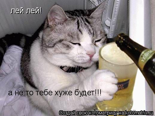 лей лей! а не то тебе хуже будет!!!... Котоматрица: лей лей! а не то тебе хуже будет!!!
