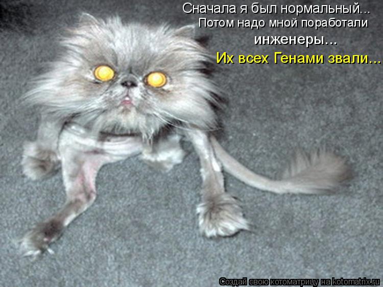 Сначала я был нормальный... Потом надо мной поработали инженеры... Их всех Генами звали...... Котоматрица: Сначала я был нормальный... Потом надо мной поработали инженеры... Их всех Генами звали...