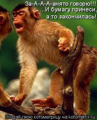 За-А-А-А-анято говорю!!! ...И бумагу принеси, а то закончилась!... Котоматрица: За-А-А-А-анято говорю!!! ...И бумагу принеси, а то закончилась!