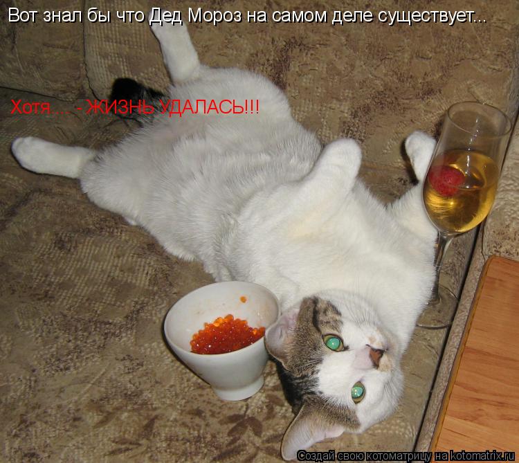 Вот знал бы что Дед Мороз на самом деле существует... попросил бы чтонибудь посерьезней! Хотя... жизн... Котоматрица: Вот знал бы что Дед Мороз на самом деле существует... попросил бы чтонибудь посерьезней! Хотя... жизнь, как говорится удалась! Вот знал бы что