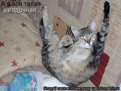 А я вся такая загадочная...... Котоматрица: А я вся такая загадочная...