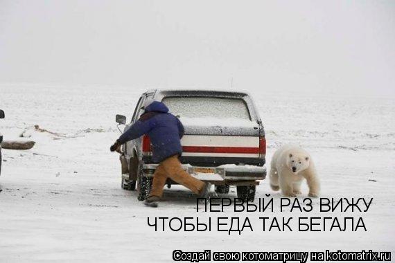 ПЕРВЫЙ РАЗ ВИЖУ ЧТОБЫ ЕДА ТАК БЕГАЛА... Котоматрица: ПЕРВЫЙ РАЗ ВИЖУ ЧТОБЫ ЕДА ТАК БЕГАЛА