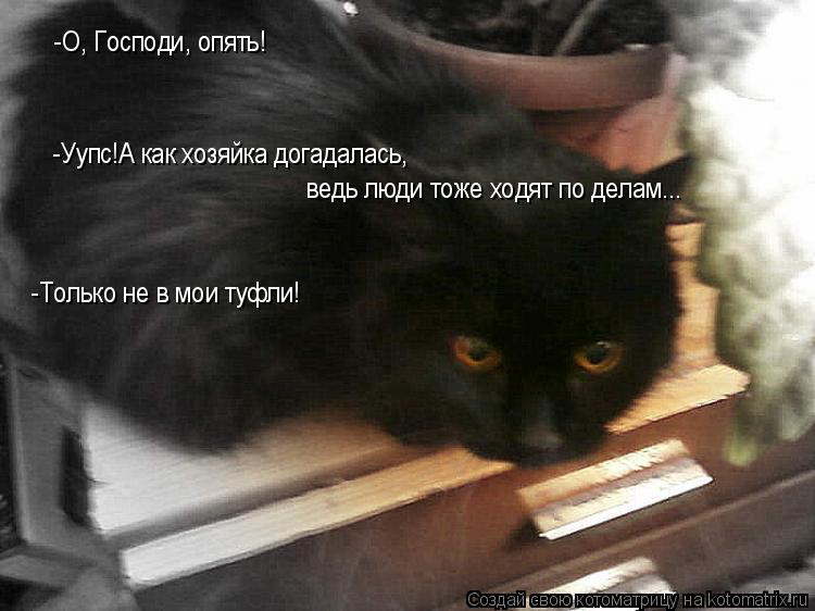 -О, Господи, опять! -Уупс!А как хозяйка догадалась, ведь люди тоже ходят по делам... -Уупс!А как хозя... Котоматрица: -О, Господи, опять! -Уупс!А как хозяйка догадалась, ведь люди тоже ходят по делам... -Уупс!А как хозяйка догадалась, ведь люди тоже ходят по дел