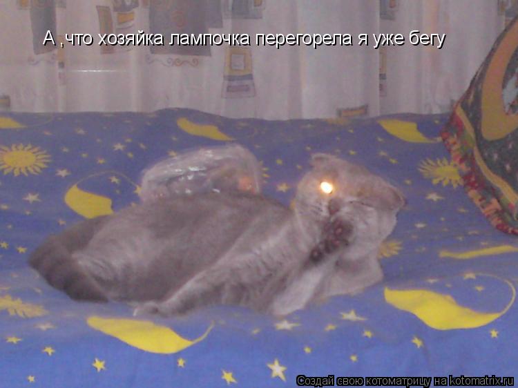 А ,что хозяйка лампочка перегорела я уже бегу... Котоматрица: А ,что хозяйка лампочка перегорела я уже бегу