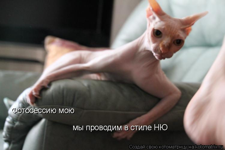 Котоматрица: Фотосессию мою мы проводим в стиле НЮ