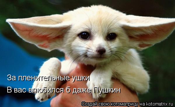 За пленительные ушки В вас влюбился б даже Пушкин... Котоматрица: За пленительные ушки В вас влюбился б даже Пушкин