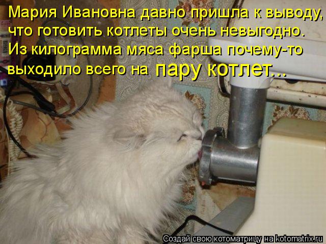 Мария Ивановна давно пришла к выводу, что готовить котлеты очень невыгодно. Из килограмма мяса фарша ... Котоматрица: Мария Ивановна давно пришла к выводу, что готовить котлеты очень невыгодно. Из килограмма мяса фарша почему-то выходило всего на пару котл