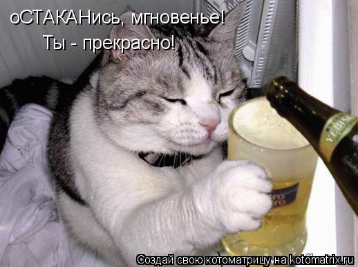 оСТАКАНись, мгновенье! Ты - прекрасно!... Котоматрица: оСТАКАНись, мгновенье! Ты - прекрасно!