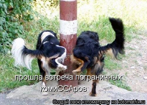 Котоматрица: ... прошла встреча пограничных комиССАров