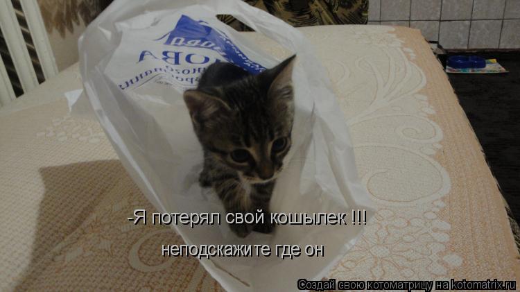 -Я потерял свой кошылек !!! неподскажите где он неподскажите где он -Я потерял свой кошылек !!!... Котоматрица: -Я потерял свой кошылек !!! неподскажите где он неподскажите где он -Я потерял свой кошылек !!!