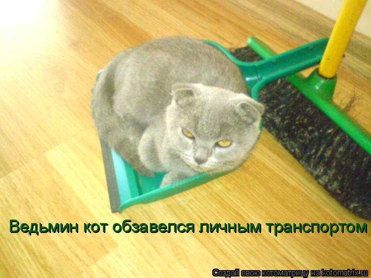 Ведьмин кот обзавелся личным транспортом... Котоматрица: Ведьмин кот обзавелся личным транспортом