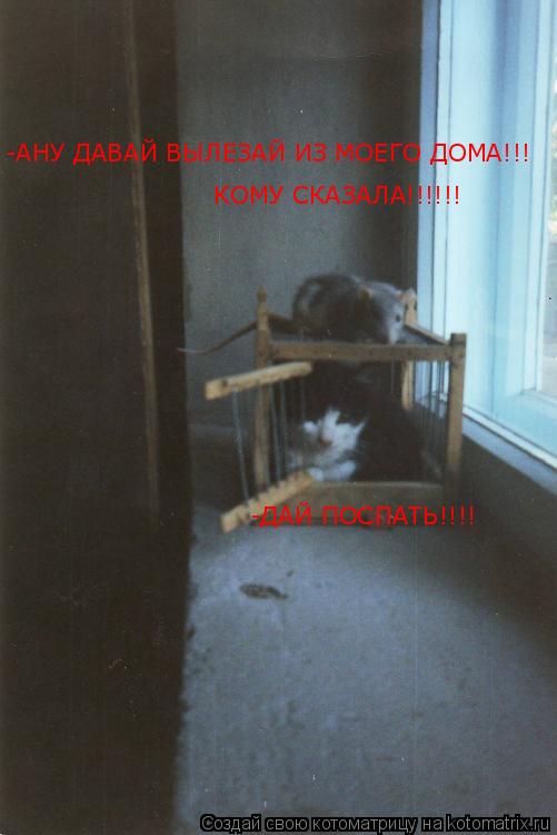-АНУ ДАВАЙ ВЫЛЕЗАЙ ИЗ МОЕГО ДОМА!!! КОМУ СКАЗАЛА!!!!!! -ДАЙ ПОСПАТЬ!!!!... Котоматрица: -АНУ ДАВАЙ ВЫЛЕЗАЙ ИЗ МОЕГО ДОМА!!! КОМУ СКАЗАЛА!!!!!! -ДАЙ ПОСПАТЬ!!!!