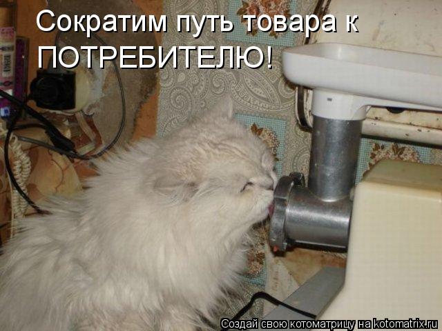 Котоматрица: Сократим путь товара к ПОТРЕБИТЕЛЮ!