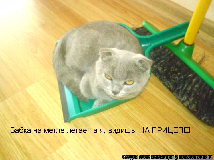 Бабка на метле летает, а я, видишь, НА ПРИЦЕПЕ!... Котоматрица: Бабка на метле летает, а я, видишь, НА ПРИЦЕПЕ!