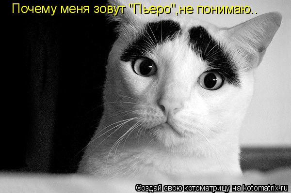 Почему меня зовут "Пьеро",не понимаю..... Котоматрица: Почему меня зовут "Пьеро",не понимаю..