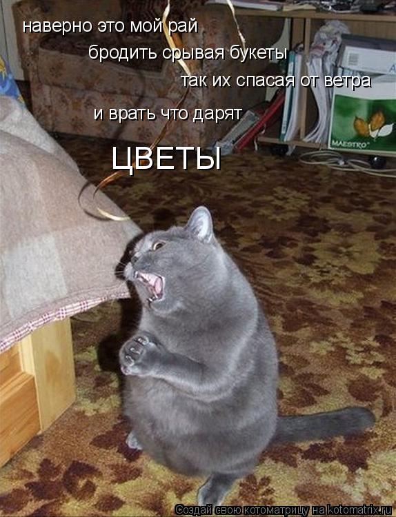 наверно это мой рай бродить срывая букеты так их спасая от ветра и врать что дарят ЦВЕТЫ... Котоматрица: наверно это мой рай бродить срывая букеты так их спасая от ветра и врать что дарят ЦВЕТЫ