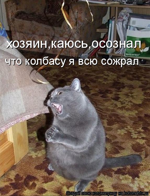 хозяин,каюсь,осознал что колбасу я всю сожрал... Котоматрица: хозяин,каюсь,осознал что колбасу я всю сожрал
