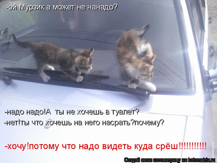 -эй Мурзик а может не нанадо? -надо надо!А ты не хочешь в туалет? -нет!ты что хочешь на него насрать... Котоматрица: -эй Мурзик а может не нанадо? -надо надо!А ты не хочешь в туалет? -нет!ты что хочешь на него насрать?почему? -хочу!потому что надо видеть куда с