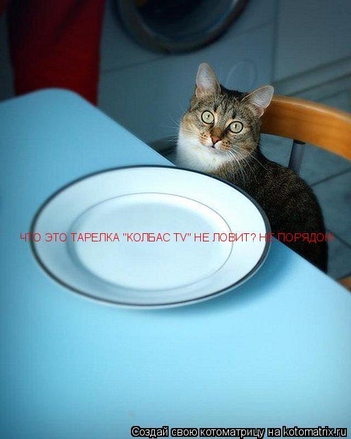 ЧТО ЭТО ТАРЕЛКА "КОЛБАС TV" НЕ ЛОВИТ? НЕ ПОРЯДОК!... Котоматрица: ЧТО ЭТО ТАРЕЛКА "КОЛБАС TV" НЕ ЛОВИТ? НЕ ПОРЯДОК!