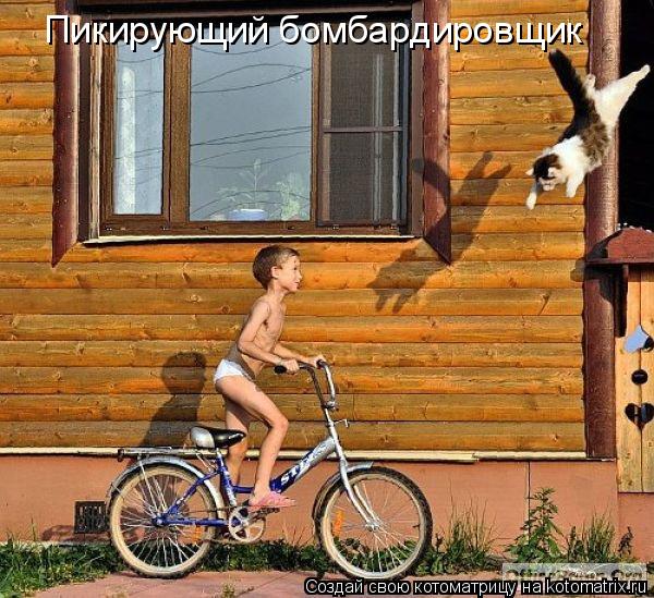 Пикирующий бомбардировщик... Котоматрица: Пикирующий бомбардировщик
