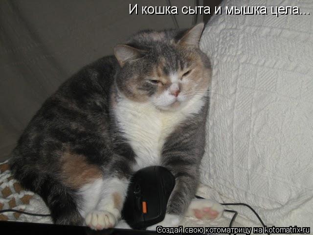 Котоматрица: И кошка сыта и мышка цела...