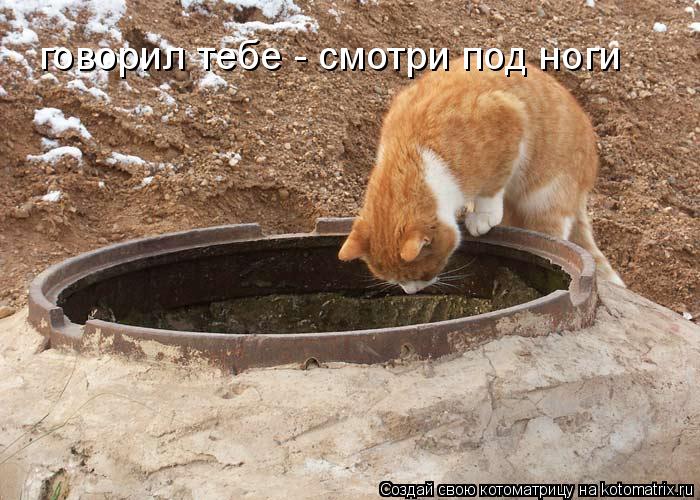 говорил тебе - смотри под ноги... Котоматрица: говорил тебе - смотри под ноги