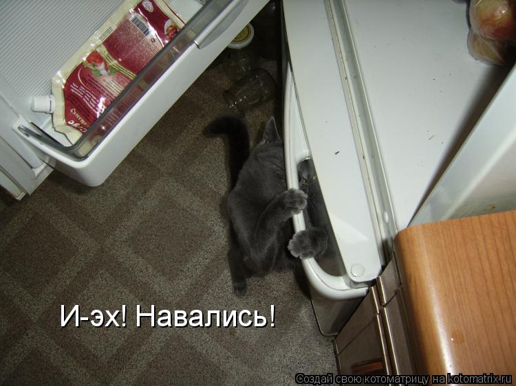 Котоматрица: И-эх! Навались!