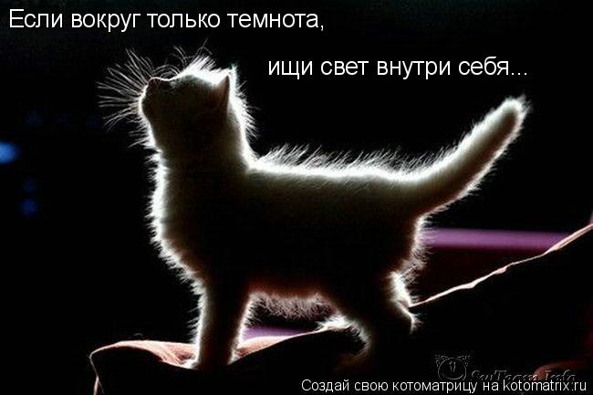 Котоматрица: Если вокруг только темнота, ищи свет внутри себя...