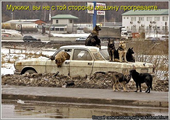 Мужики, вы не с той стороны машину прогреваете..... Котоматрица: Мужики, вы не с той стороны машину прогреваете..