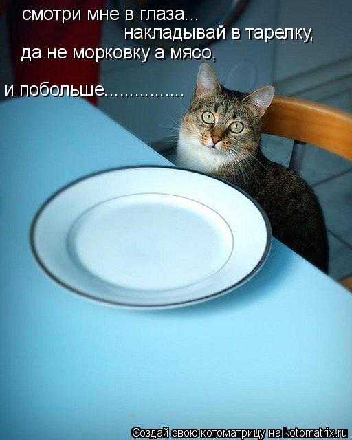 смотри мне в глаза... накладывай в тарелку, да не морковку а мясо, и побольше................... Котоматрица: смотри мне в глаза... накладывай в тарелку, да не морковку а мясо, и побольше................