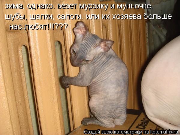 зима, однако. везет мурзику и мунночке, шубы, шапки, сапоги. или их хозяева больше нас любят!!!???... Котоматрица: зима, однако. везет мурзику и мунночке, шубы, шапки, сапоги. или их хозяева больше нас любят!!!???