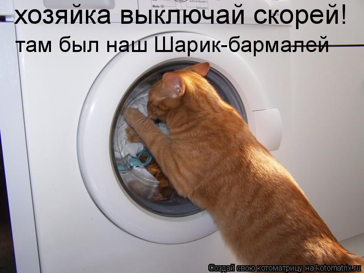 Котоматрица: хозяйка выключай скорей! там был наш Шарик-бармалей