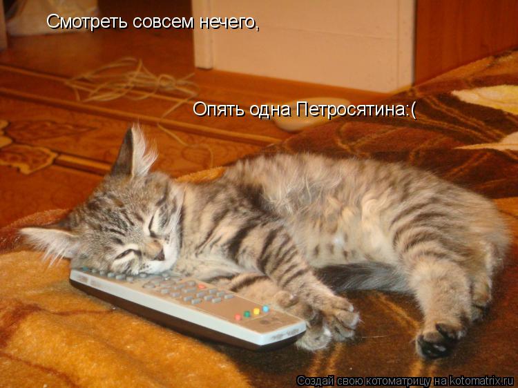 Котоматрица: Опять одна Петросятина:( Смотреть совсем нечего,