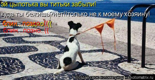 эй цыпотька вы титьки забыли! куда ты бежишь?нет!!только не к моему хозяину! блин...поздно..(( блин..... Котоматрица: эй цыпотька вы титьки забыли! куда ты бежишь?нет!!только не к моему хозяину! блин...поздно..(( блин...позно..(( блин...позно..((