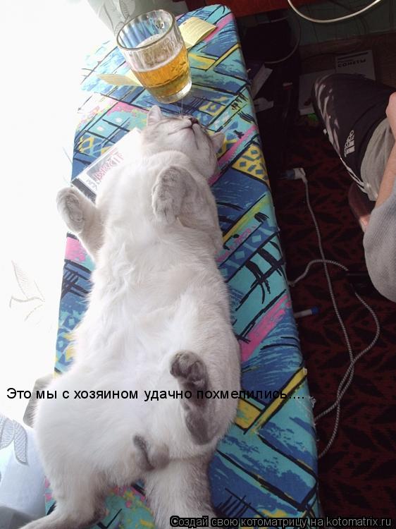 Это мы с хозяином удачно похмелились....... Котоматрица: Это мы с хозяином удачно похмелились....