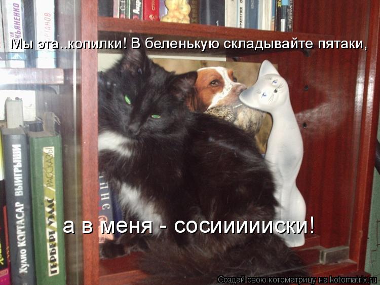 Мы эта..копилки! В беленькую складывайте пятаки, а в меня - сосиииииски!... Котоматрица: Мы эта..копилки! В беленькую складывайте пятаки, а в меня - сосиииииски!