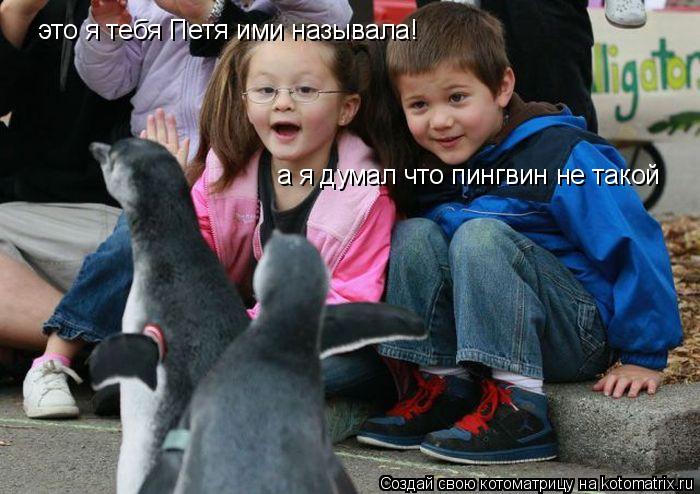 это я тебя Петя ими называла! а я думал что пингвин не такой... Котоматрица: это я тебя Петя ими называла! а я думал что пингвин не такой