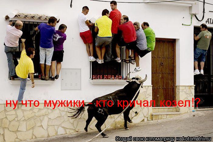 ну что мужики - кто кричал козел!?... Котоматрица: ну что мужики - кто кричал козел!?