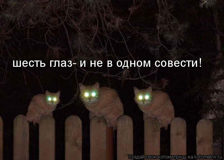шесть глаз- и не в одном совести!... Котоматрица: шесть глаз- и не в одном совести!