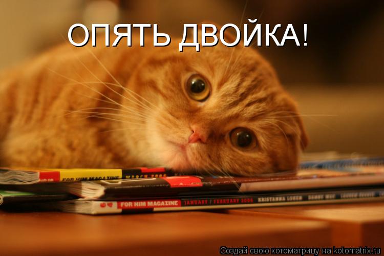 ОПЯТЬ ДВОЙКА!... Котоматрица: ОПЯТЬ ДВОЙКА!