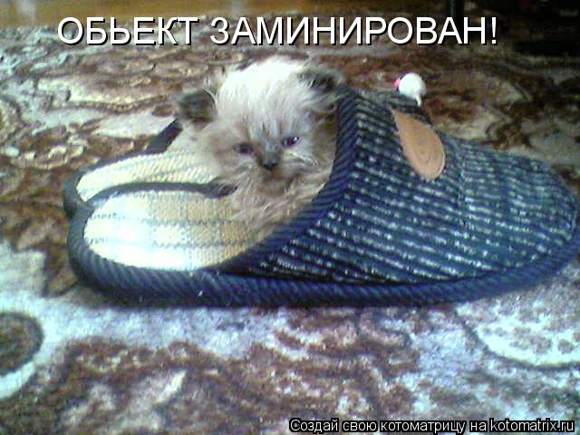 ОБЬЕКТ ЗАМИНИРОВАН!... Котоматрица: ОБЬЕКТ ЗАМИНИРОВАН!