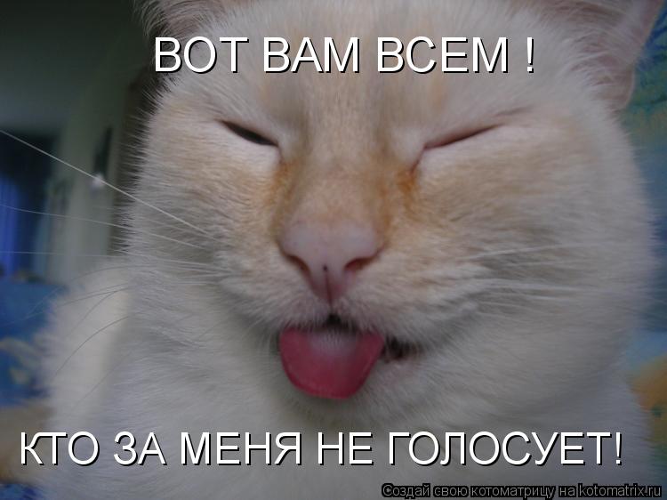 ВОТ ВАМ ВСЕМ ! КТО ЗА МЕНЯ НЕ ГОЛОСУЕТ!... Котоматрица: ВОТ ВАМ ВСЕМ ! КТО ЗА МЕНЯ НЕ ГОЛОСУЕТ!