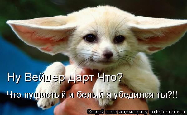 Ну Вейдер Дарт Что? Что пушистый и белый я убедился ты?!!... Котоматрица: Ну Вейдер Дарт Что? Что пушистый и белый я убедился ты?!!