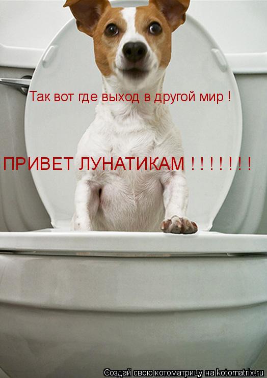 Так вот где выход в другой мир ! ПРИВЕТ ЛУНАТИКАМ ! ! ! ! ! ! !... Котоматрица: Так вот где выход в другой мир ! ПРИВЕТ ЛУНАТИКАМ ! ! ! ! ! ! !