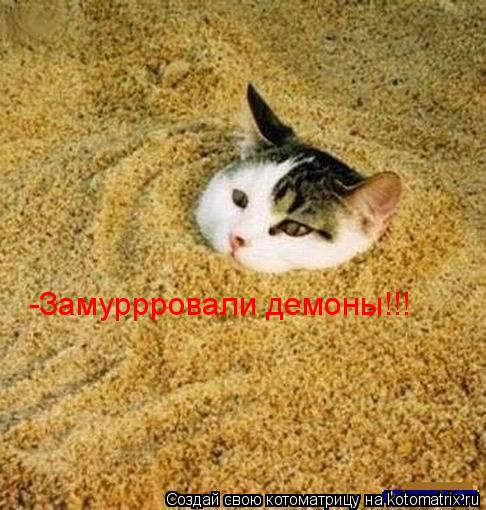 -Замуррровали демоны!!!... Котоматрица: -Замуррровали демоны!!!